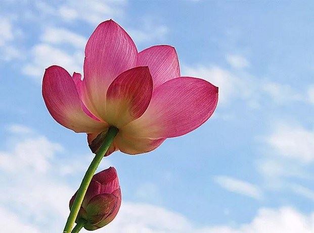 人们学佛或修行，需要一步一步的来，不能好高骛远