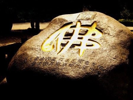 素食--让你新生