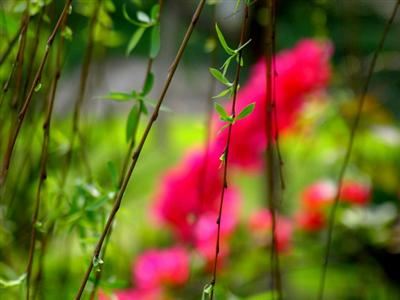 什么是佛门里讲的五守戒，持五守戒有何功德利益？