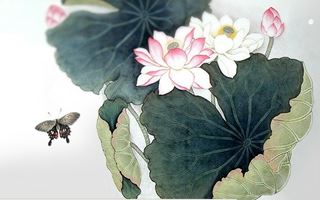 佛教的戒律能修改吗？