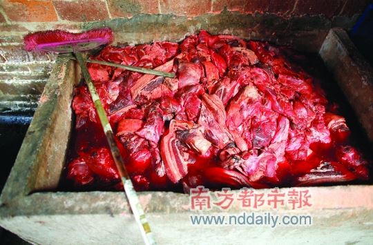 孩子都是来拯救你的天使