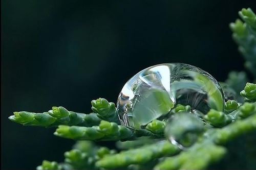 妙莲老和尚：拜佛念佛的方法