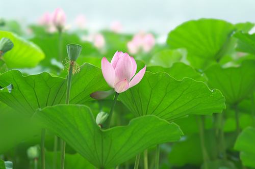 请先管好自己的生活