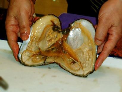 净土法门：一向专念阿弥陀佛的重要