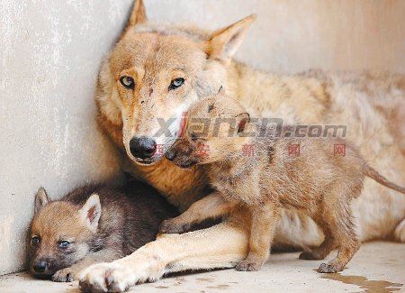 佛教中什么叫缘分，什么叫一个人与佛有缘？