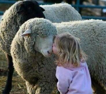 藏传佛教与汉传佛教的最大区别