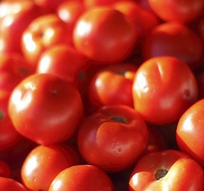 明朝赵永贞戒淫行善，终后福无穷