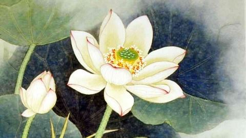 一位佛友谈意淫的果报