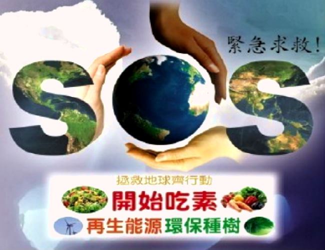不固执心性更通达
