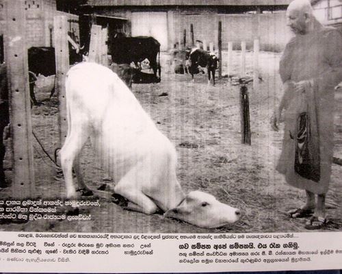 相遇靠缘分，相知靠真诚