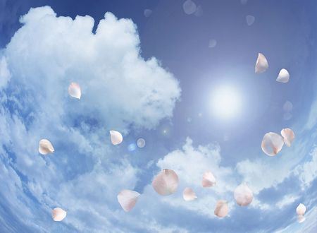 比尔.盖茨童年的故事