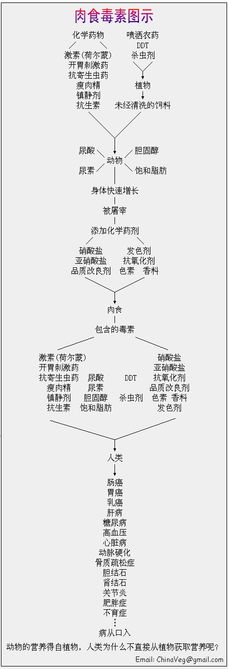 南怀瑾：求“长生不老”是人最大的欲望