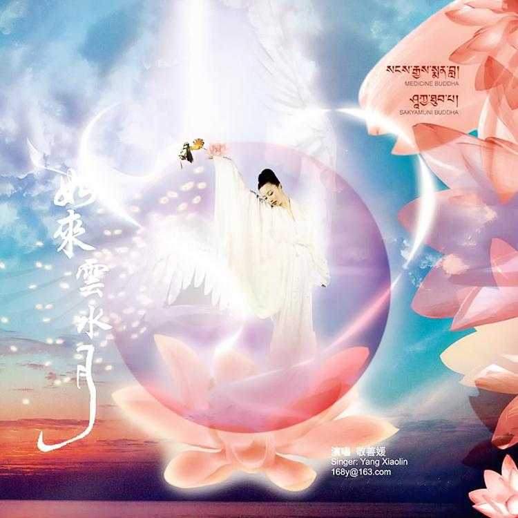 药师咒