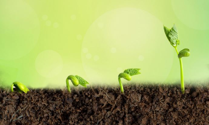 到底怎样的行为才是浪费生命？