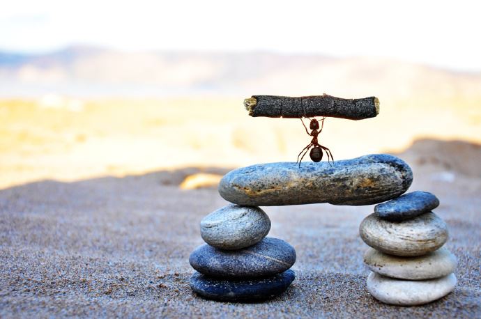 断除烦恼的努力其实是最有价值的