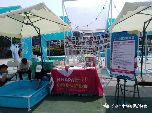 中秋萌宠会活动暨2019第七期领养