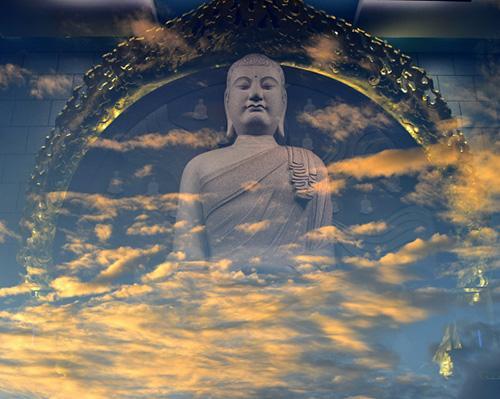 您不知道的真相