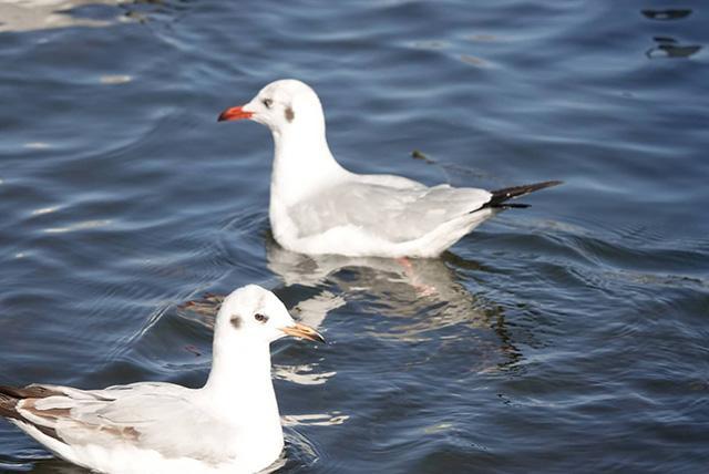 “一念间”，家庭的幸福密码
