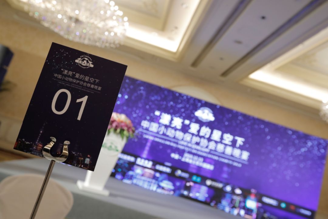 “漾亮”爱的星空下——中国小动物保护协会慈善晚宴在沪顺利举办