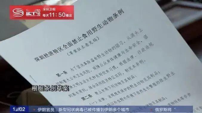 深圳，大陆第一个立法禁食猫狗的城市!
