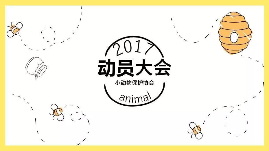 小动物|大集体