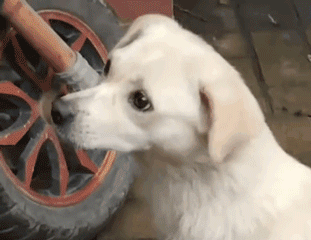 能不能给我的宝宝一个家，别像我这样小心翼翼流浪