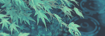 嘉应学院动物保护协会二轮考核通过名单