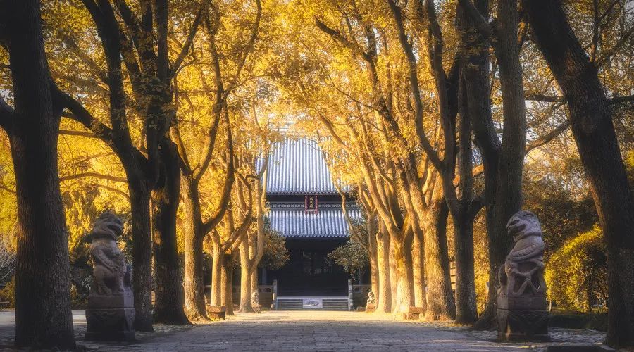 每天坚持这三件事，你的运气会越来越好
