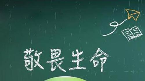 敬畏生命