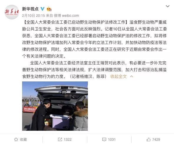 重磅！全国人大常委会法工委：已启动野生动物保护法修改工作