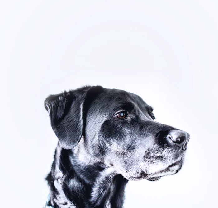 启明周记|每一个生命都应该被善待