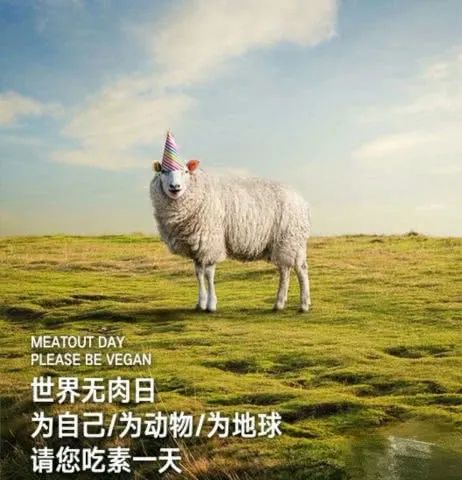 迎接3.20世界无肉日：当你停止吃肉了，这些奇迹就发生了.....真是不可思议！