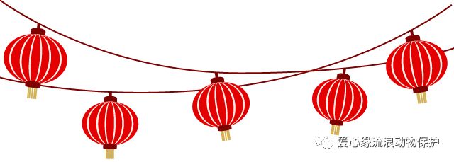 助爱心缘毛娃完成春节愿望小清单，鼠你最行！