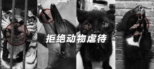 百万志愿者签名，千万志愿者转发。为了立法，志愿者们还能做啥？