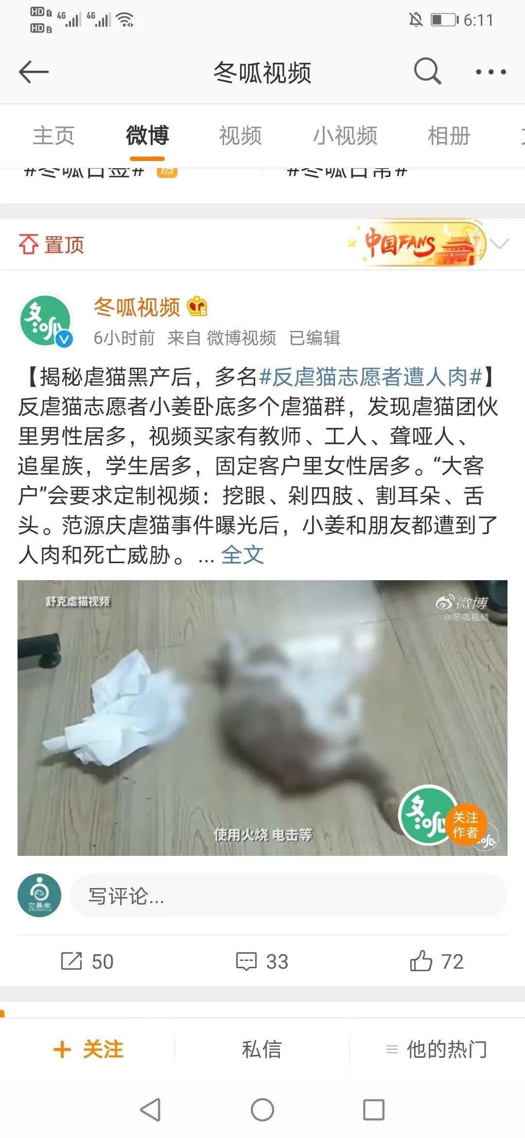 人性至暗时刻！虐猫黑色产业链揭秘者反遭人肉！