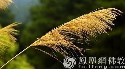 佛教故事：事实告诉我们修行的根本是去除“我执”