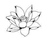 再见！六月！佛教月度图片回顾