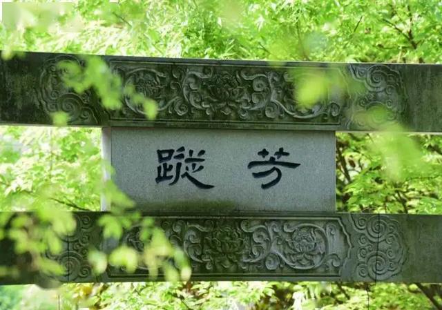 东林寺暮春行脚记：这次跟大安师父一起登庐山