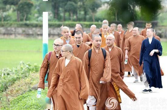 体悟祖师宗风圣辉大和尚率众下田插秧