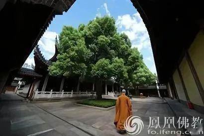 高僧大德是完美的人吗？90%的答案可能都错了
