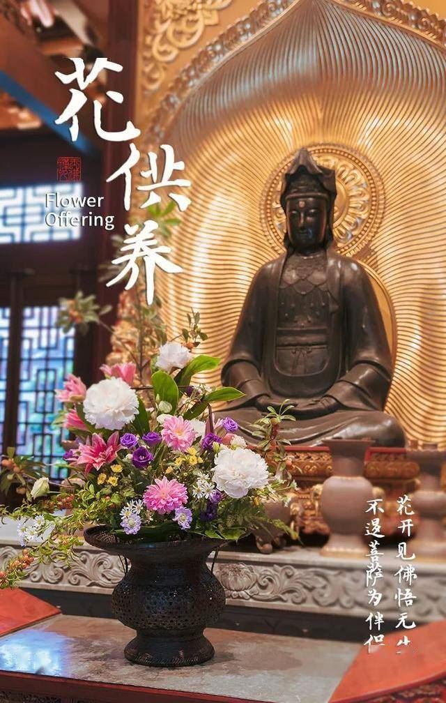 今生貌美为何因？前世鲜花供佛前！师父教你如何以花供佛
