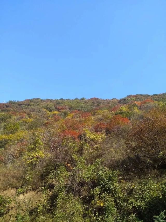 但传无尽灯可使有情悟丨佛门唯一游戏《选佛图》缘起