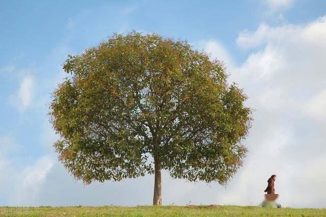 释怀就在一瞬间