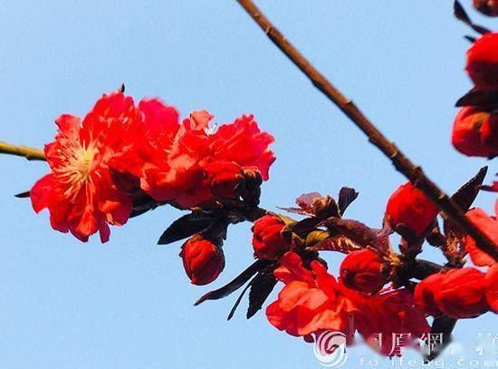 传正法师：为何有人运气好有人运气差？原因不外乎这四个字