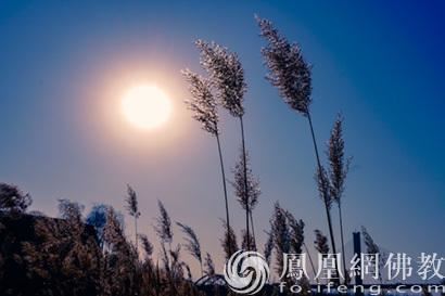 佛教故事：千古佳话拥有一颗虔诚求法的心是多么的重要