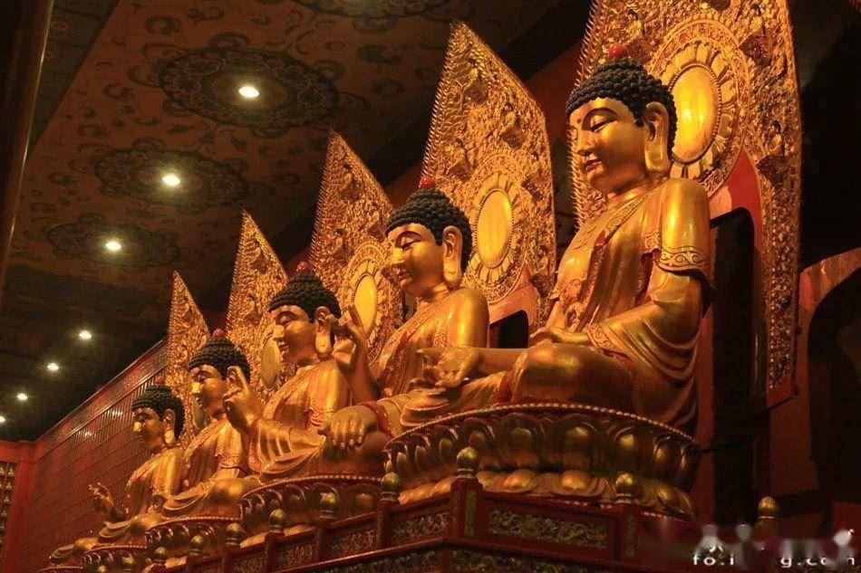 清华大学博士：人生在世，不去了解佛教是一件憾事