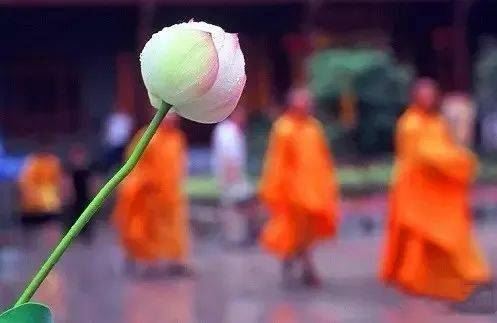 不要随便讲别人，每个人都有自己的福德因缘！