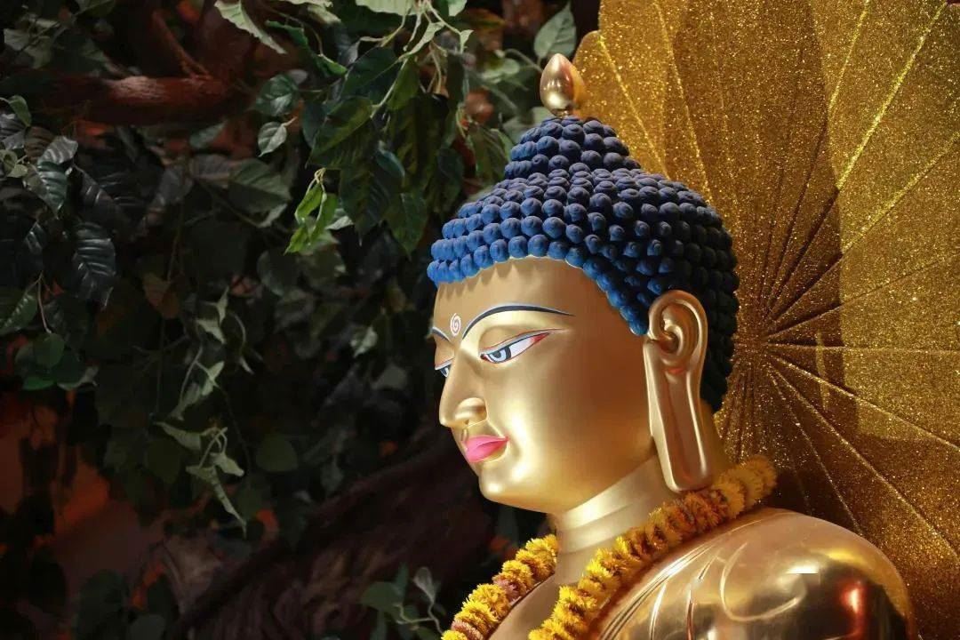 坚持每天布施，功德福报不可思议！