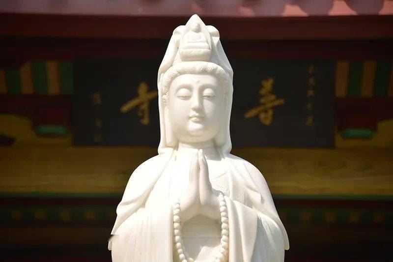 您知道十大菩萨名号的含义各是什么吗？分享获无量功德，福慧双增！