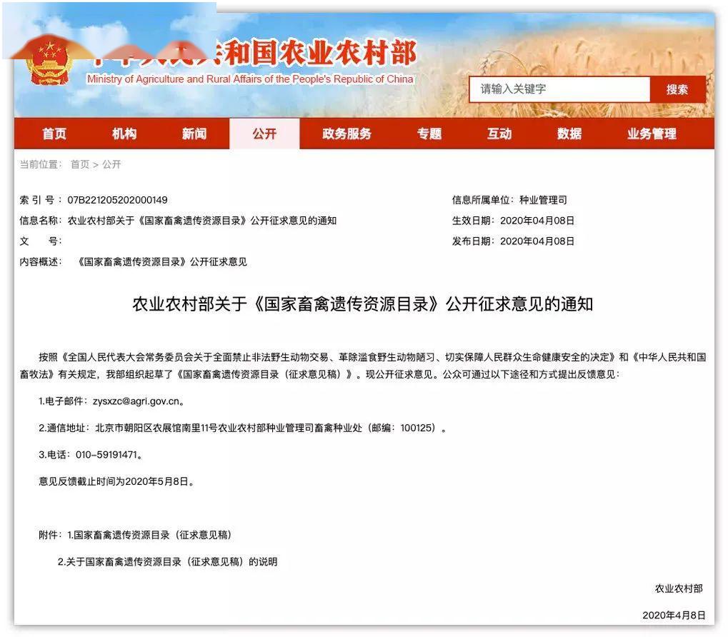 爱犬跑丢后变成两包冻肉，杀狗者：我吃狗肉是为了治哮喘，自己家的狗也吃…